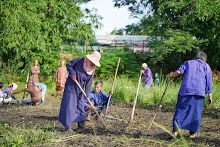 671021 วันบวร รวมสี ถางหญ้า สวนเพื่อฟ้าดิน20.jpg
