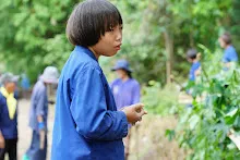 680603 รวมพลังปลูกแฝก วันเฉลิมพระชนมพรรษา สมเด็จพระนางเจ้าสุทิดา 140.jpeg