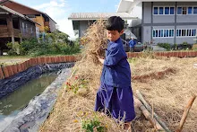 671216 สมุนพระราม ห่มดินสวนน่ารักด้วยฟางข้าว วัดระดับน้ำคลองไส้ไก่ 84.jpg