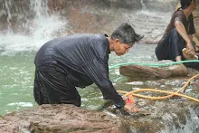 680511 ภาพโฮมแฮงขัดนำตกองค์พระพุทธธาในวันวิสาขฯ 108.jpeg