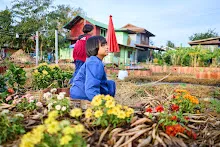 671210 สมุนพระรามขนฟางปูสวนครอบครัวน่ารัก 11.jpg