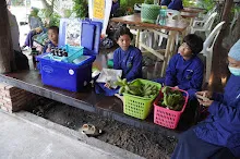 680713 สมุนพระราม ฝึกพาณิชย์บุญนิยม ขายสินค้า อุทยานบุญนิยม 5-2568 30.jpeg