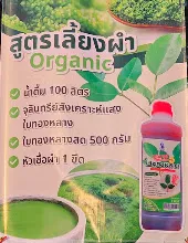680209 เดินตามรอยโพธิสัตว์ งานพุทธาฯปฐมอโศก ต้นทองหลาง สังเคราะห์แสง 49.jpeg
