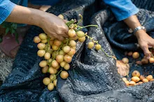 A7C08881.jpg