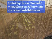 680210 ประชุมการศึกษาบุญนิยม ที่เนินพอกิน งานพุทธา 42.jpeg