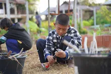 680110 สมุนพระราม ทำ 5 ส ปลูกต้นองุ่น ปรับปรุงแปลงดอกไม้ 87.jpg