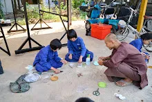 680218 สมุนพระราม เพาะควบแน่น เมล็ดพุทธรักษาที่ได้ผสมพันธุ์ข้ามสี  4.jpg
