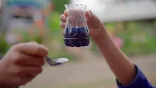 680308 สมุนพระราม ทดสอบ pH ของดินด้วยน้ำสะกัดดอกอัญชัน 31.jpg