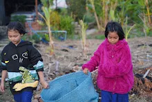 680110 สมุนพระราม ทำ 5 ส ปลูกต้นองุ่น ปรับปรุงแปลงดอกไม้ 5.jpg