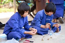 680218 สมุนพระราม เพาะควบแน่น เมล็ดพุทธรักษาที่ได้ผสมพันธุ์ข้ามสี  1.jpg