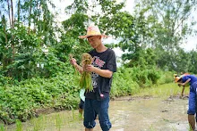 A7C04310.jpg