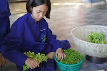 680609 เด็กสมุนพระราม ทำสลัดโรลขึ้นศาลาฉัน 30.JPG