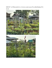 680301 ลงสวน, เก็บเมล็ดพันธุ์,บูรณาการพับจรวดกระดาษ