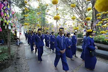 IMG_9938.JPG