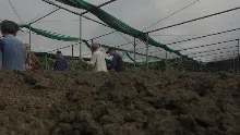 690306 สสธ ม1  ร่วมงานพุทธา ไปเนินพอกิน 33.JPG