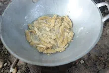 671115 ค่ายเปิดเทอมนักเรียนสัมมาฯ ฝึกทำอาหารและกินข้าว  84.JPG