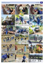 6901_00_รวมปักษ์ มกราคม_สี5_0.jpg