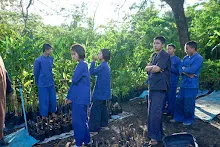 671128 วันหยุด สสธ.ม.4 สมุนพระราม ไปช่วยขนกล้าไม้ดอก จากสวนไวพลัง 68.jpg