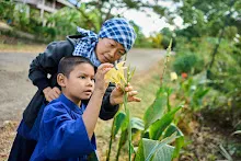 671228 สมุนพระรามเข้าค่าย เรียนการปรับปรุงพันธุ์พุทธรักษา เล่นเกมกินวิบาก พาทัวร์รถราง 39.jpg