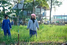 671217 สสธ.และชาวชุมขนไปถอนหญ้า แปลงหอมกระเทียม สวน 255 121.jpg