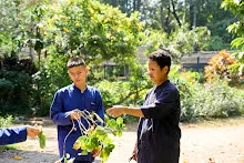 680202 สสธ.ม.3 ฝึกหัดเพาะชำต้นไม้แบบควบแน่น ไปสวนไวพลัง 106.jpg