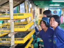680212 สสธ.ไปทัศนศึกษาที่งานเกษตรอีสานใต้ ม.อุบล 89.jpg