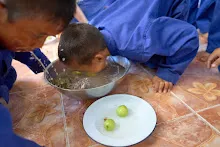 671228 สมุนพระรามเข้าค่าย เรียนการปรับปรุงพันธุ์พุทธรักษา เล่นเกมกินวิบาก พาทัวร์รถราง 169.jpg