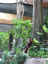 DSC03750.JPG