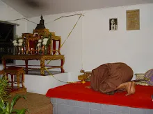 DSC08520.JPG