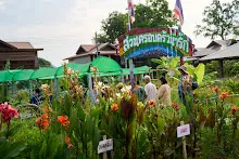 680419 ครูดีไม่มีอบายมุข รุ่น 14 เข้า work shop สวนครอบครัวน่ารัก 105.jpg