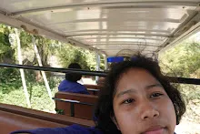 680202 สสธ.ม.3 ฝึกหัดเพาะชำต้นไม้แบบควบแน่น ไปสวนไวพลัง 329.JPG