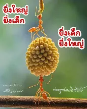 ยิ่งเล็กยิ่งใหญ่.jpeg