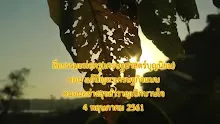 สื่อธรรมะพ่อครู(เศรษฐศาสตร์บุญนิยม) ตอน แก้ปัญหาเศรษฐกิจแบบคนจนสุขสำราญเบิกบานใจ.mp4
