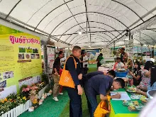 680212 สสธ.ไปทัศนศึกษาที่งานเกษตรอีสานใต้ ม.อุบล 21.jpg