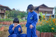 680608 สมุนพระรามเก็บเมล็ดพันธุ์ดอกไม้กินได้ที่สวน ไปขนดินปลูก 29.jpg