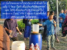680209 เดินตามรอยโพธิสัตว์ งานพุทธาฯปฐมอโศก ต้นทองหลาง สังเคราะห์แสง 29.jpeg