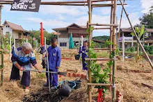 671216 สมุนพระราม ห่มดินสวนน่ารักด้วยฟางข้าว วัดระดับน้ำคลองไส้ไก่ 94.jpg