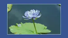 ประโยคทองของพ่อครู 21 คนมหัศจรรย์คือคนมีศีล-_.mp4