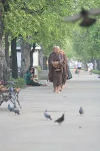 เดินบิณฑ์รอบสนามหลวง (41).JPG