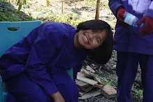680202 สสธ.ม.3 ฝึกหัดเพาะชำต้นไม้แบบควบแน่น ไปสวนไวพลัง 513.JPG