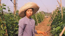 เกื้อดิน - สื่อธรรมะพ่อครู สมณะโพธิรักษ์.JPG