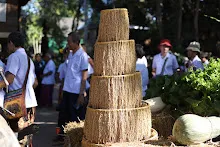 671229 ขบวนแห่พืชพันธุ์ธัญญาหารในงานเพื่อฟ้าดิน 13.JPG
