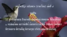 สื่อธรรมะพ่อครู(ศีล สมาธิ ปัญญา) ตอน ไม่กินเนื้อสัตว์นี้ก็เป็นศีลของเธอประการหนึ่ง.mp4