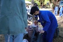 IMG_0886.CR2