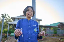 680608 สมุนพระรามเก็บเมล็ดพันธุ์ดอกไม้กินได้ที่สวน ไปขนดินปลูก 47.jpg