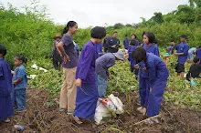 680623  เด็กสมุนพระรามร่วมทำงานขุดมันเทศ ในวันนบวร 12.jpeg