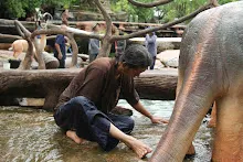680511 ภาพโฮมแฮงขัดนำตกองค์พระพุทธธาในวันวิสาขฯ 37.jpeg