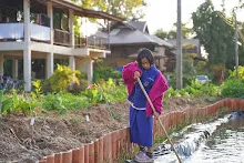 680110 สมุนพระราม ทำ 5 ส ปลูกต้นองุ่น ปรับปรุงแปลงดอกไม้ 104.jpg