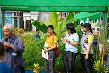 680419 ครูดีไม่มีอบายมุข รุ่น 14 เข้า work shop สวนครอบครัวน่ารัก 110.jpg