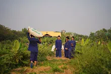 680303 วันบวร เก็บมะเขือ ที่สวนลานกราบ นร.ม.3 ม.ปลาย ชาวชุมชน 18.jpg